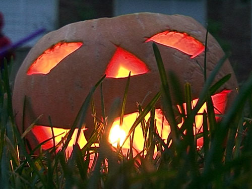 Dovloac de Halloween